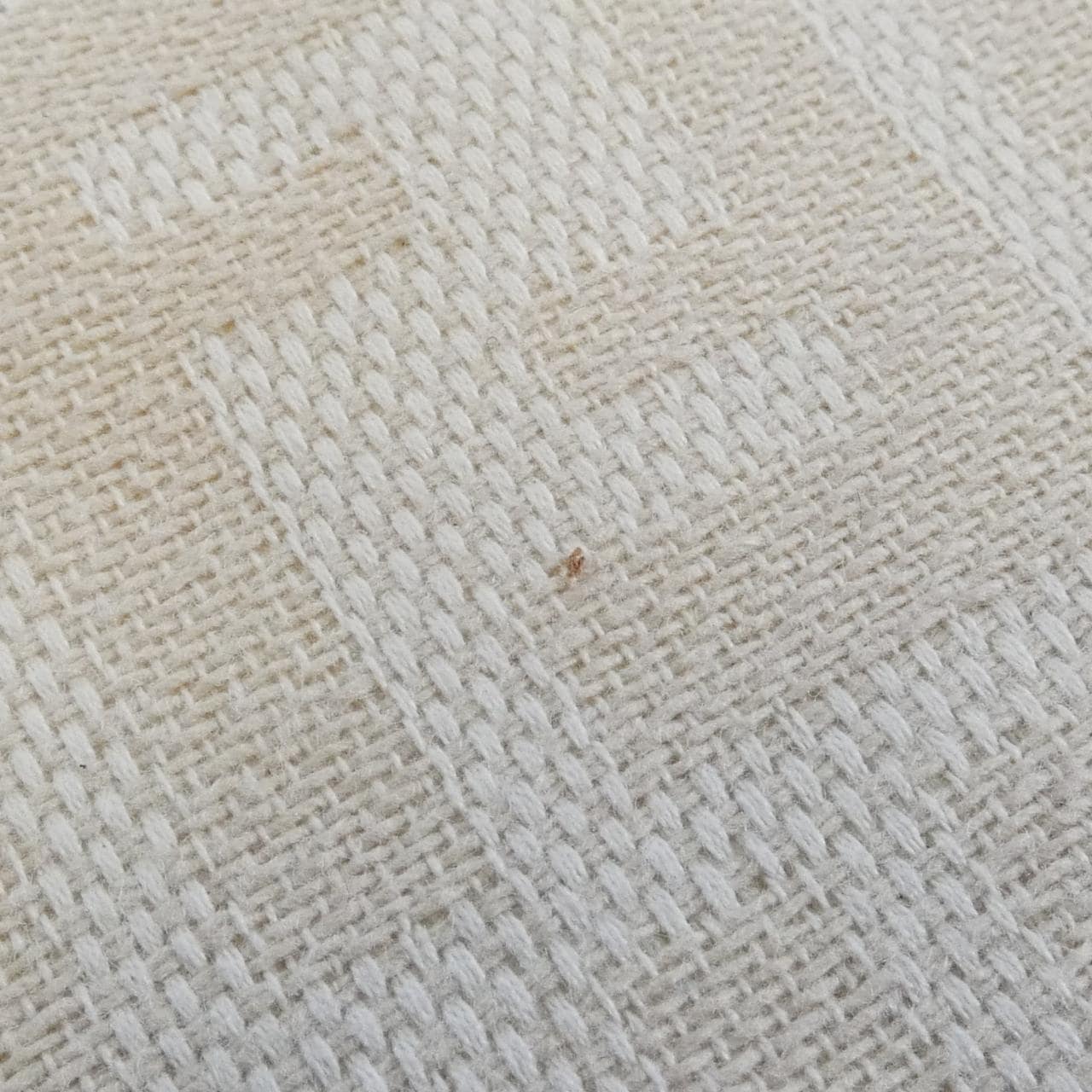 フェンディ バゲット 写真4