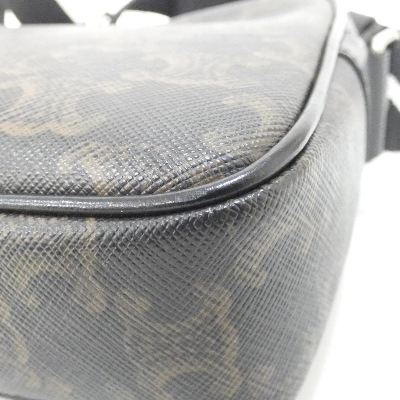 セリーヌ トリオンフ 写真2