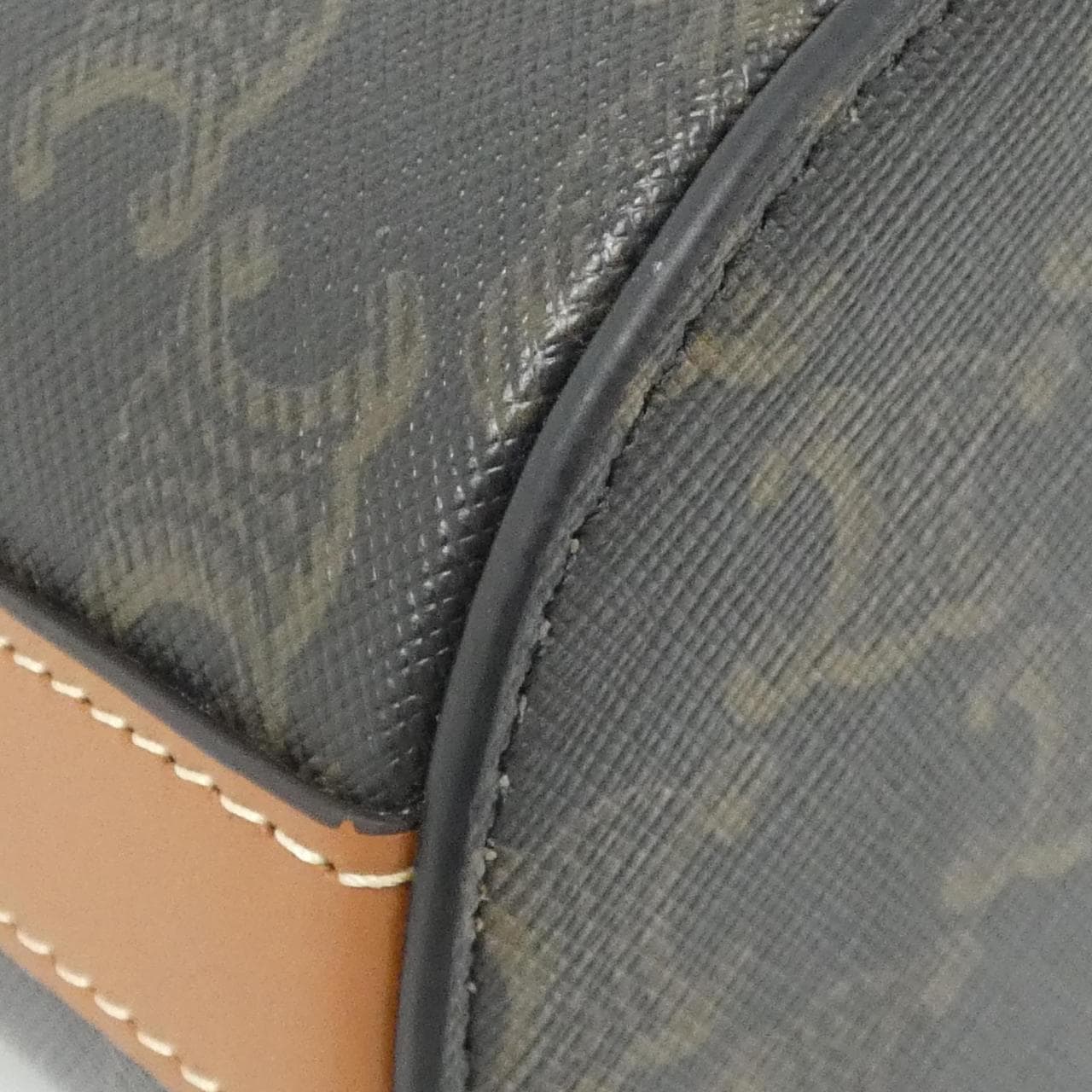 セリーヌ トリオンフ 写真3