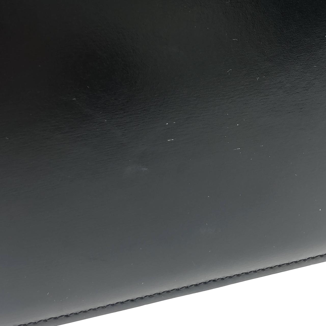 セリーヌ トリオンフ 写真5