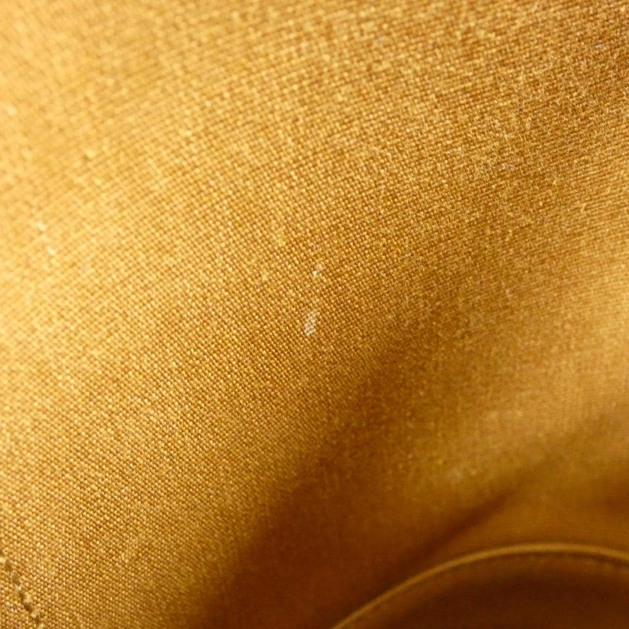 セリーヌ トリオンフ 写真8