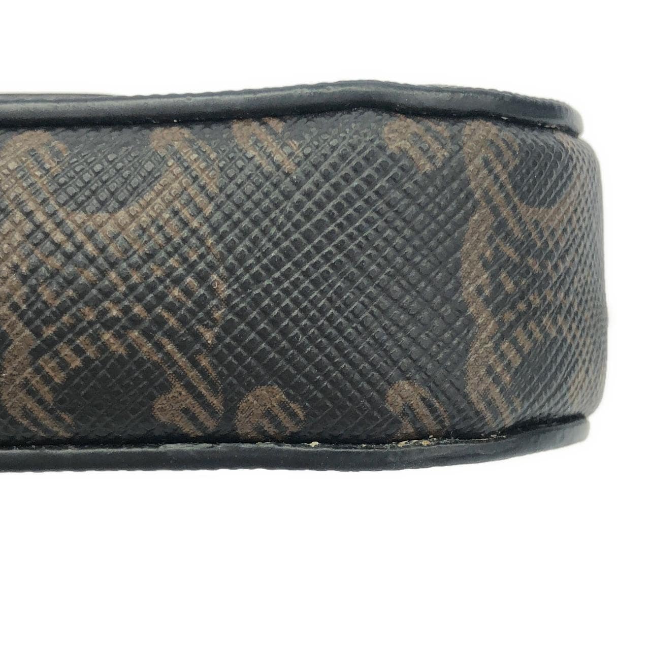 セリーヌ トリオンフ 写真3