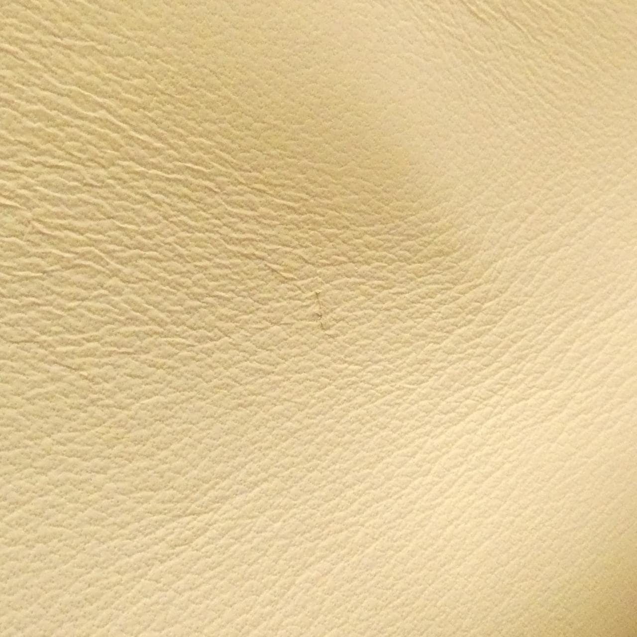 ディオール レディディオール 写真9