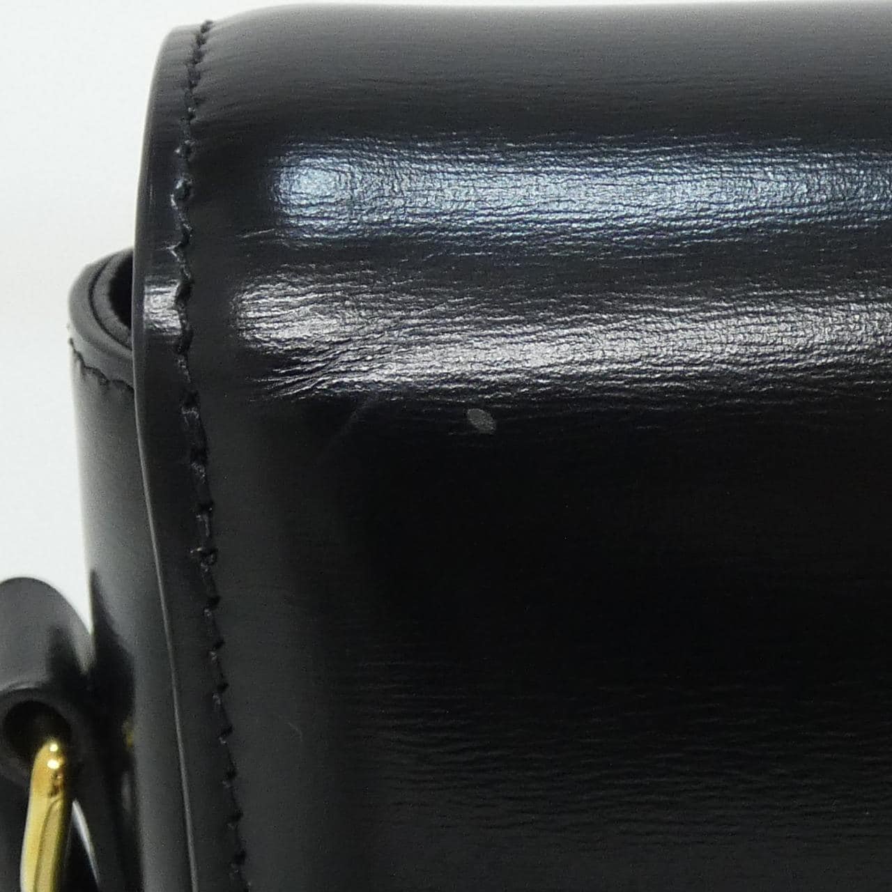 セリーヌ トリオンフ 写真6