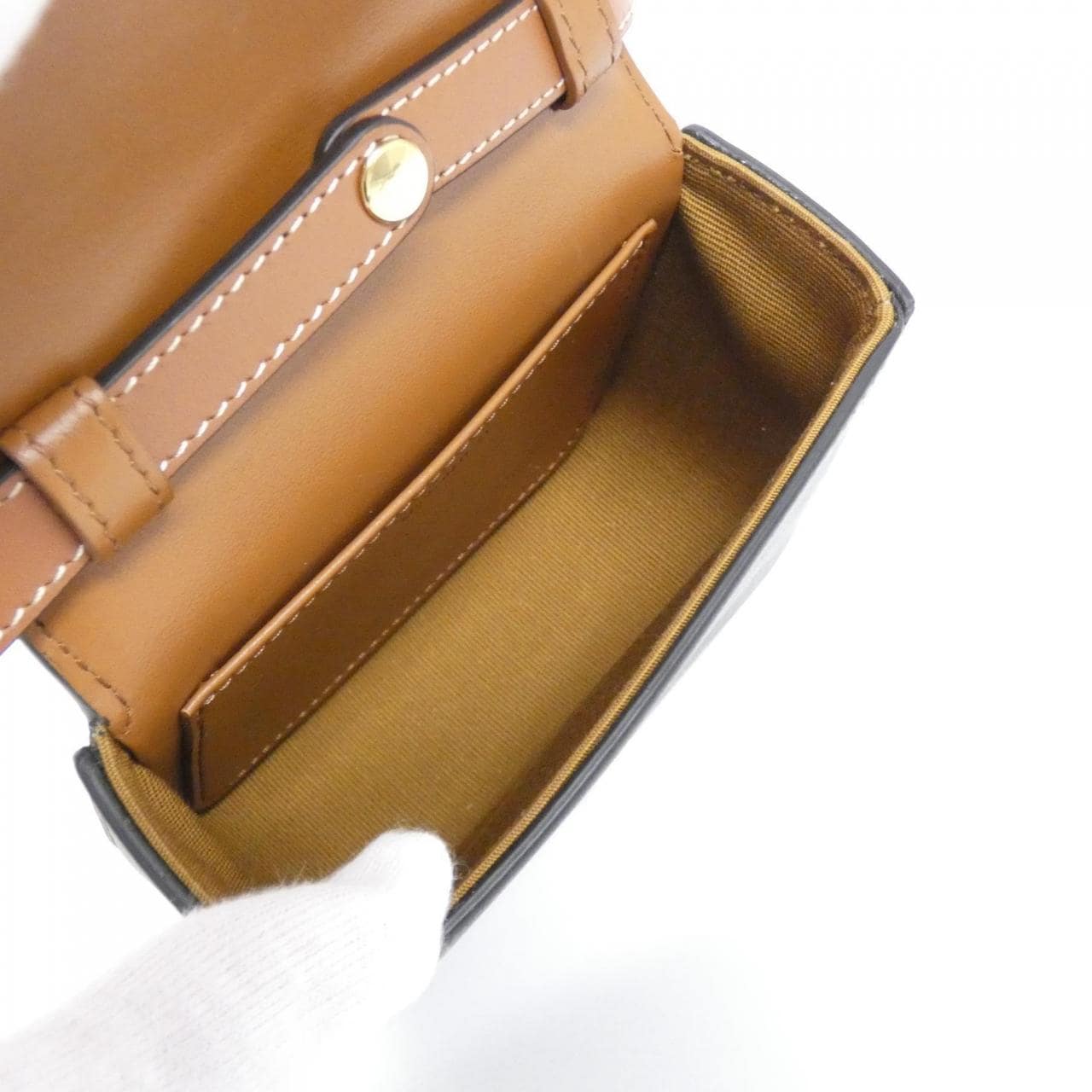 セリーヌ トリオンフ 写真7