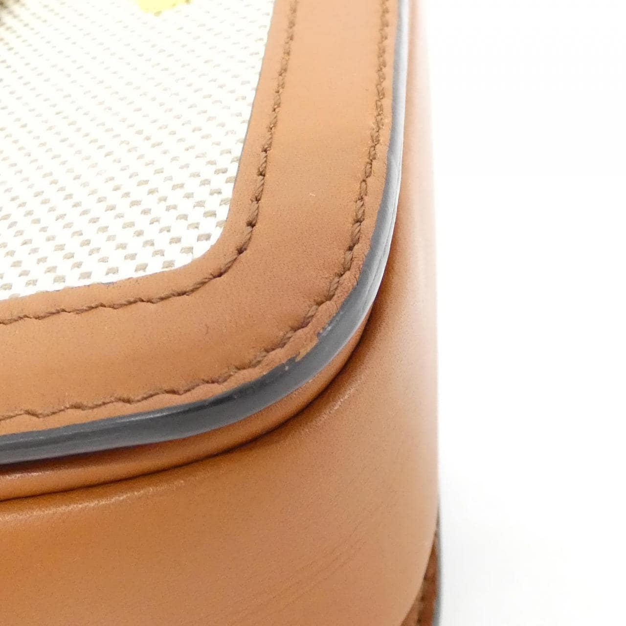 セリーヌ トリオンフ 写真3