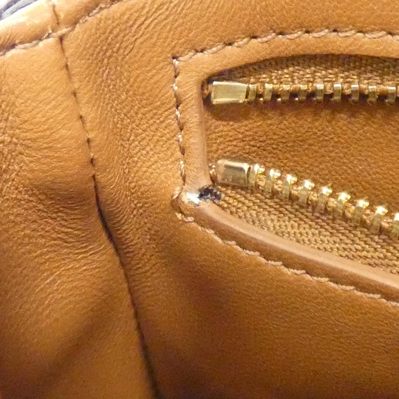 セリーヌ トリオンフ 写真10