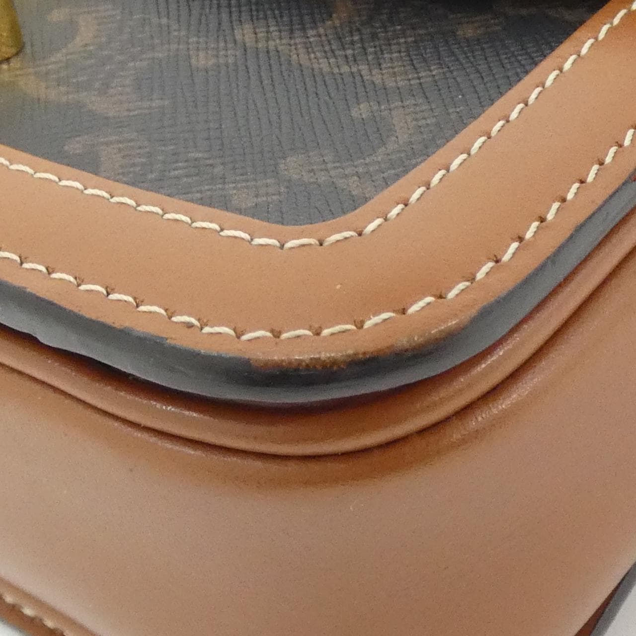 セリーヌ トリオンフ 写真3