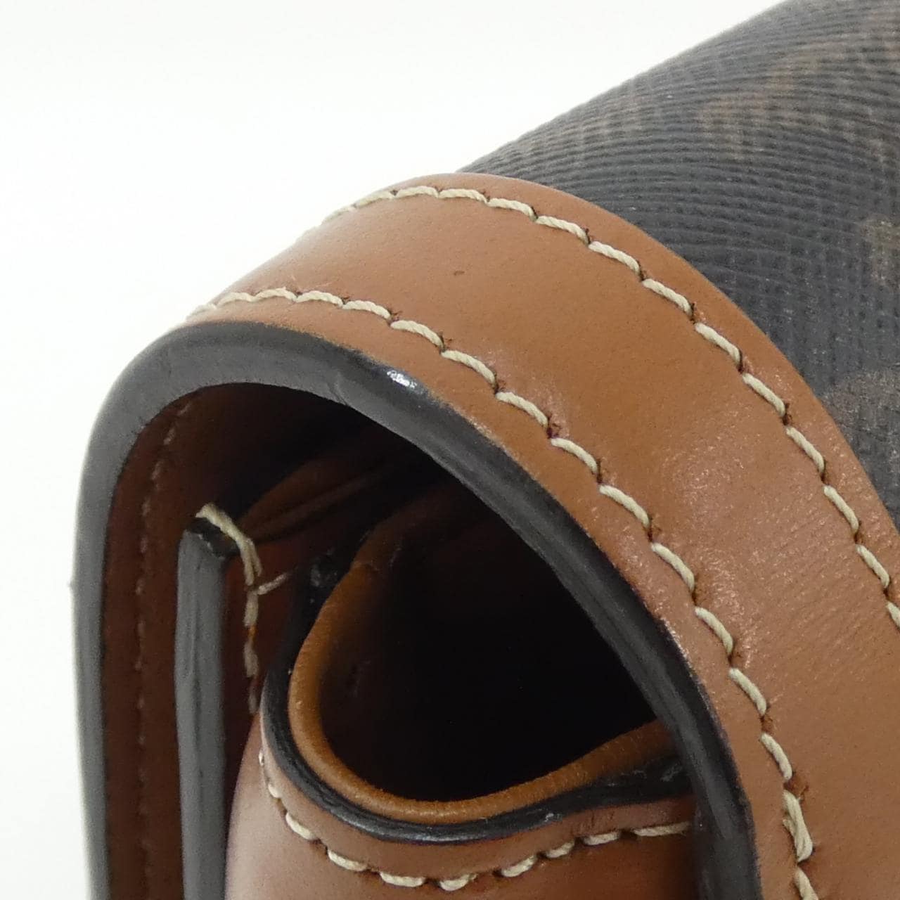 セリーヌ トリオンフ 写真6