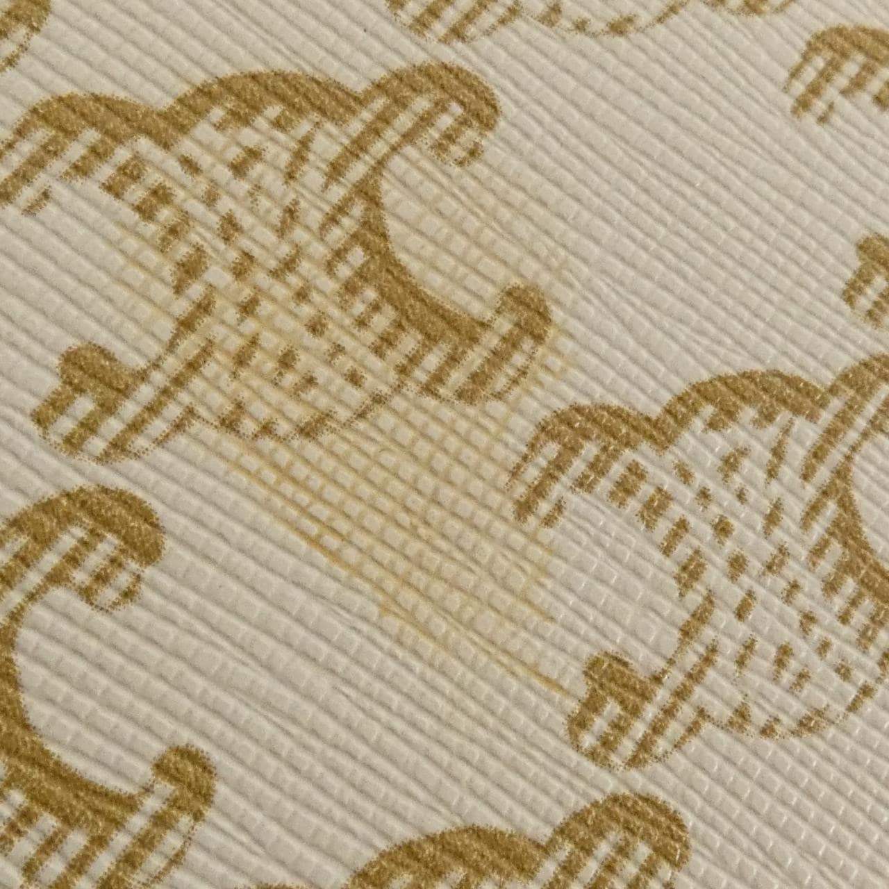 セリーヌ トリオンフ 写真4