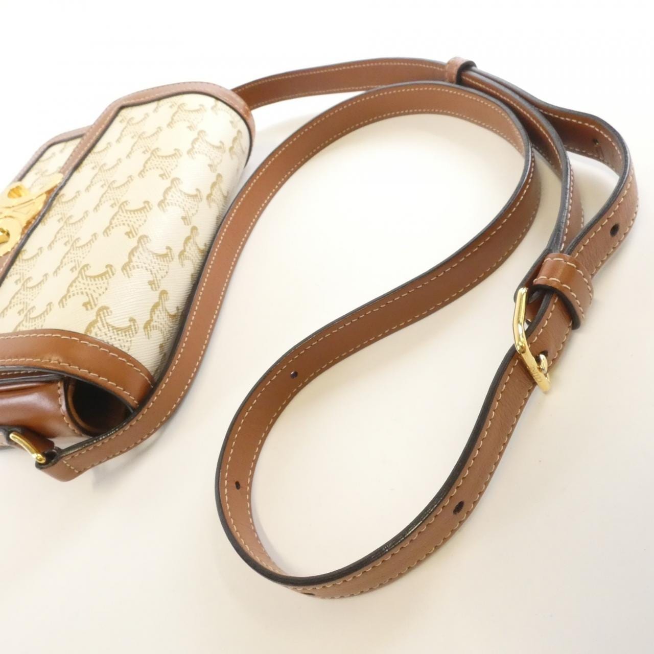 セリーヌ トリオンフ 写真7