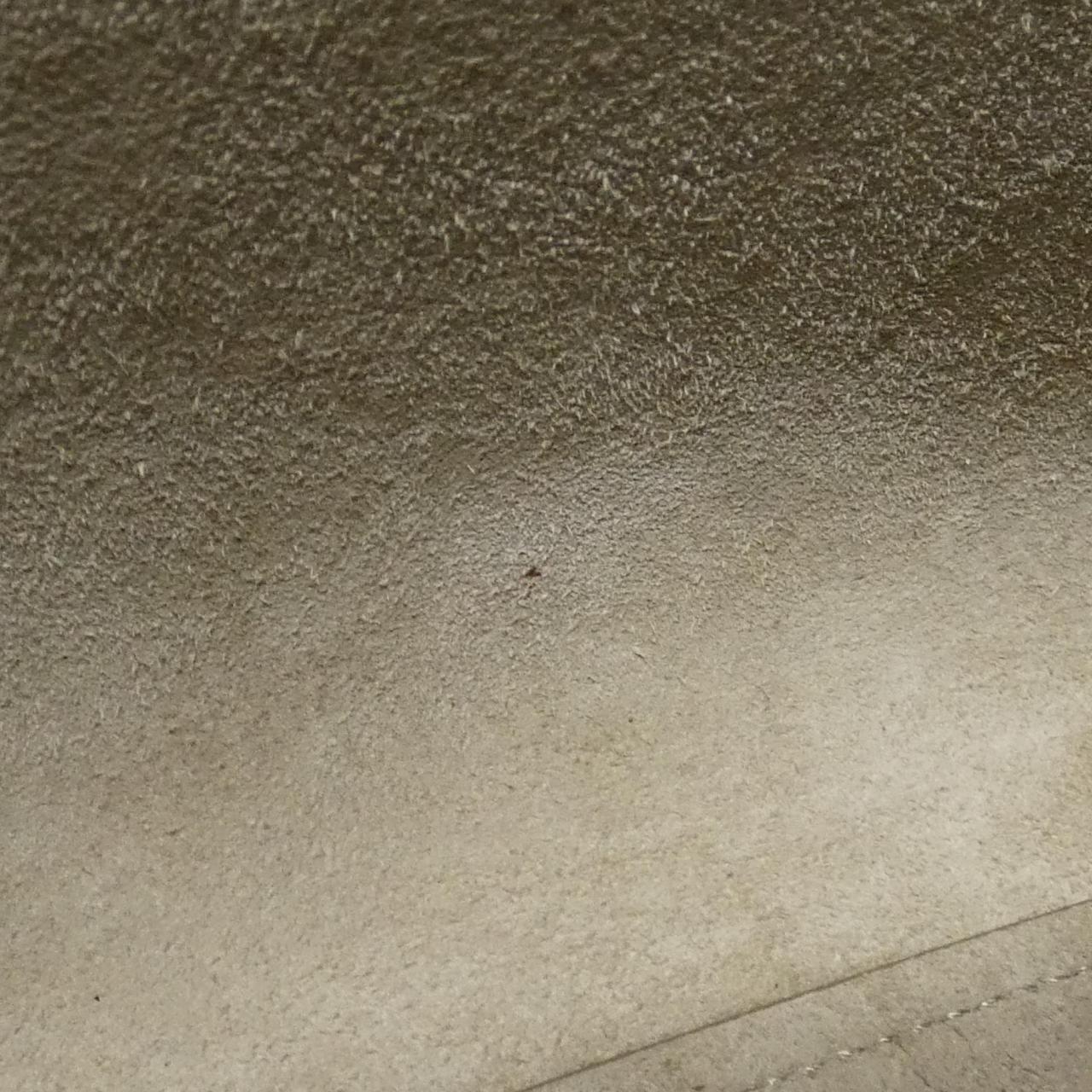 セリーヌ ベルトバッグ 写真9