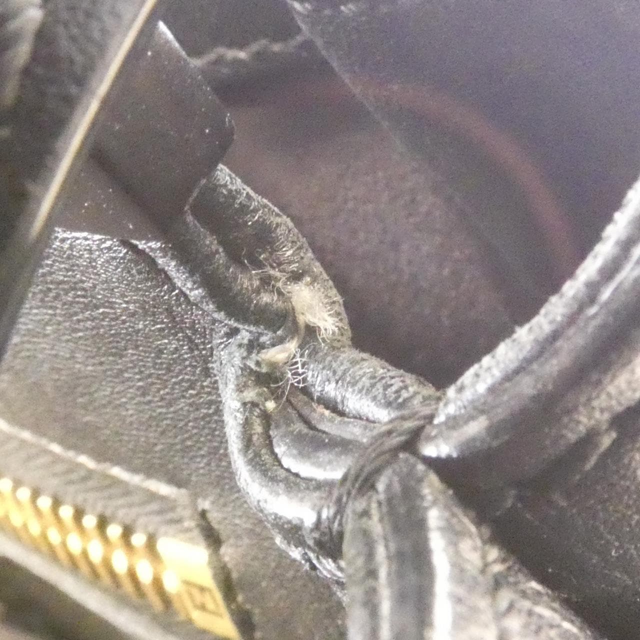 フェンディ ピーカブー 写真3