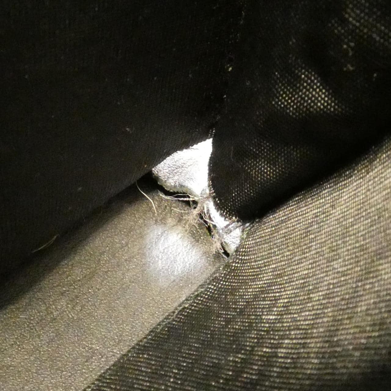 グッチ GGマーモント 写真10