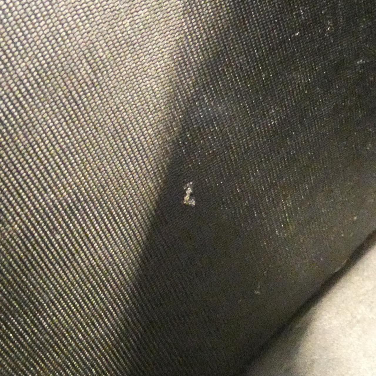 グッチ GGマーモント 写真8