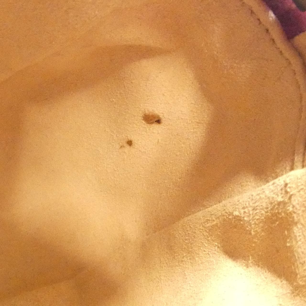 グッチ GGマーモント 写真8