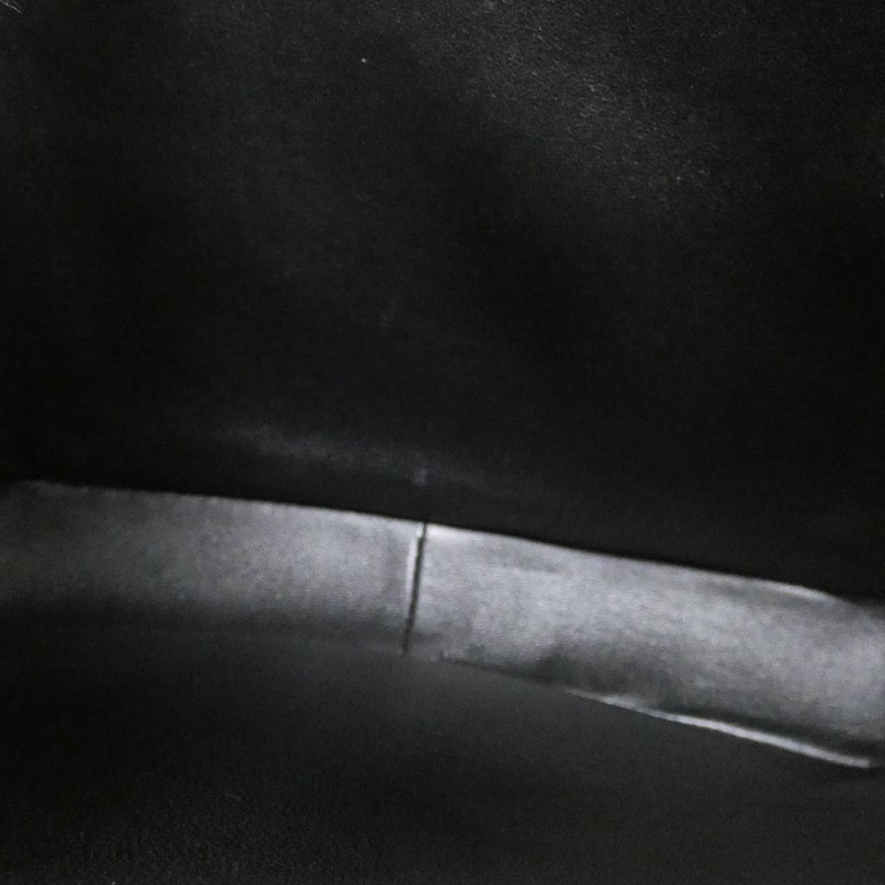 セリーヌ トリオンフ 写真7