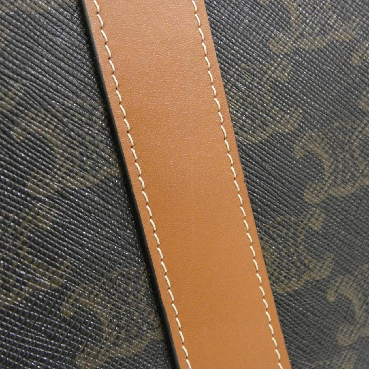 セリーヌ トリオンフ 写真5