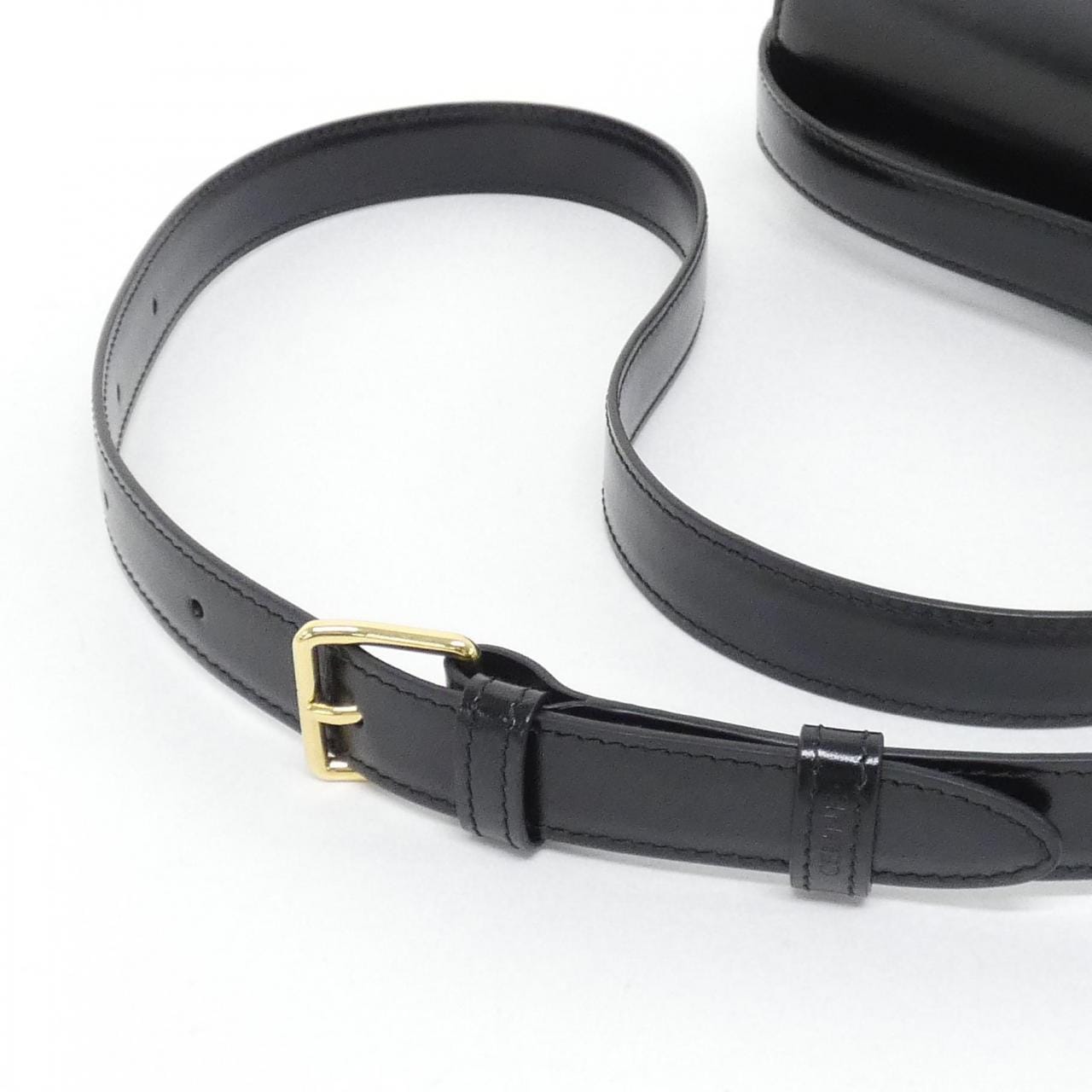 セリーヌ トリオンフ 写真6