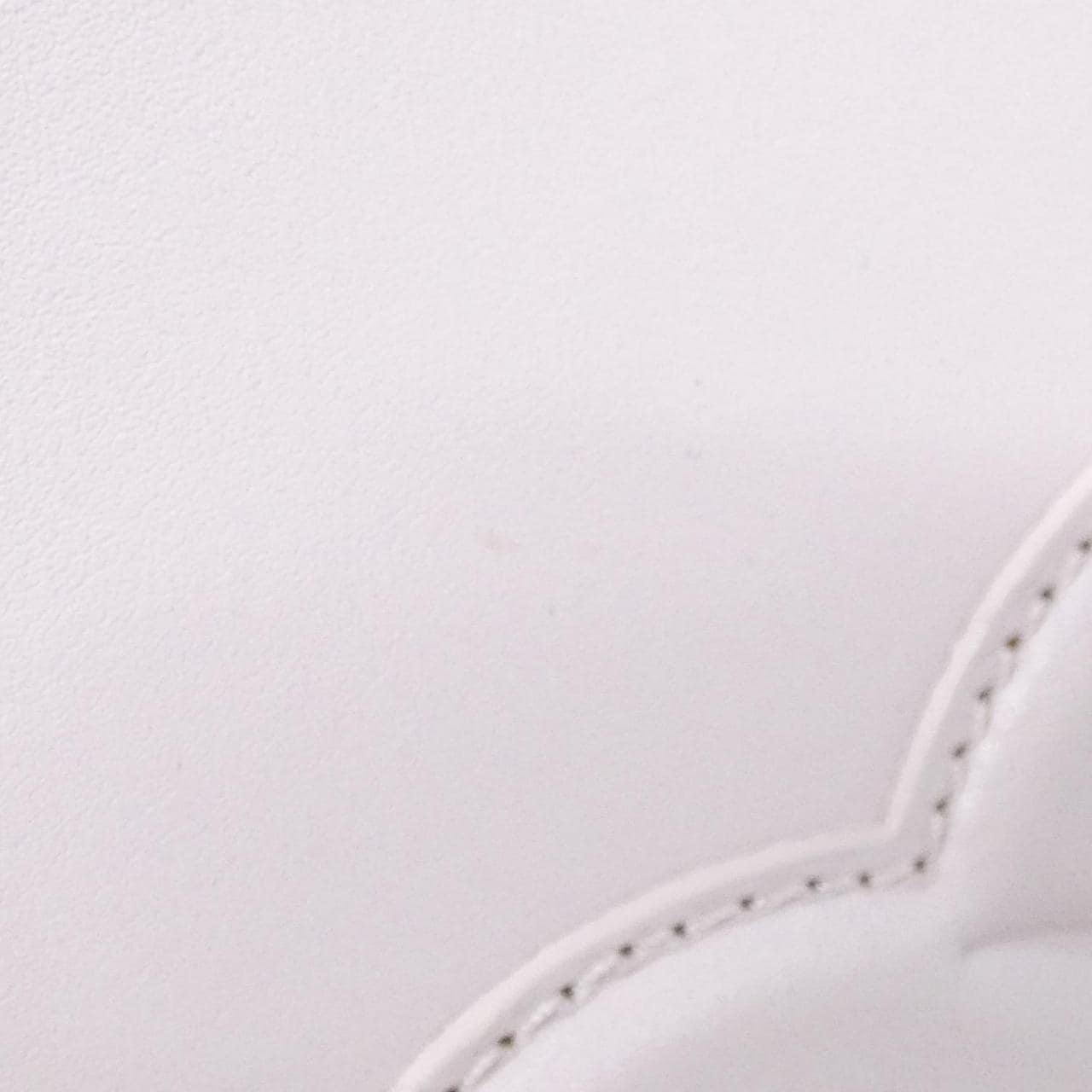 セリーヌ トリオンフ 写真6