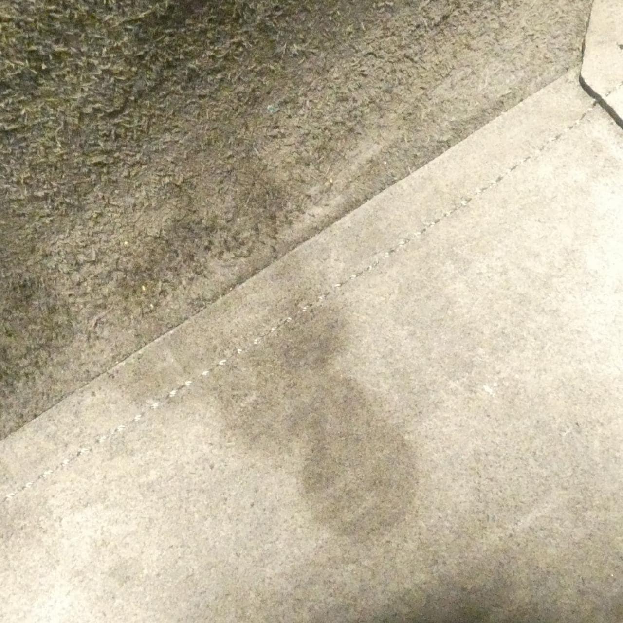 セリーヌ ベルトバッグ 写真9