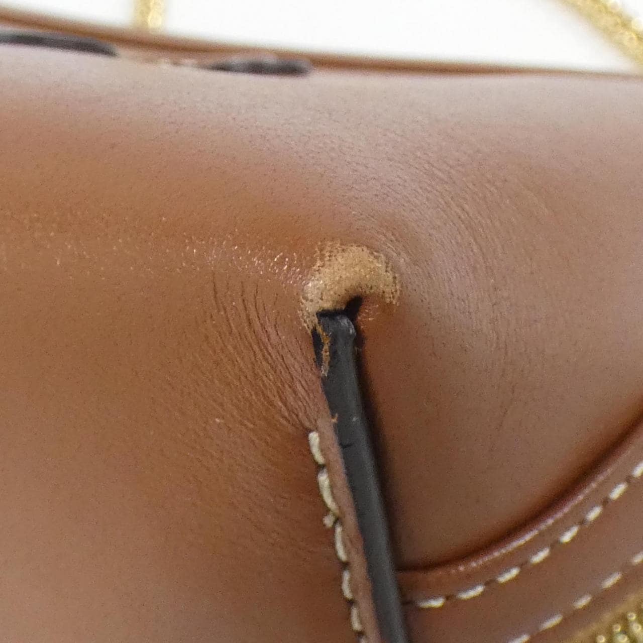 セリーヌ トリオンフ 写真3