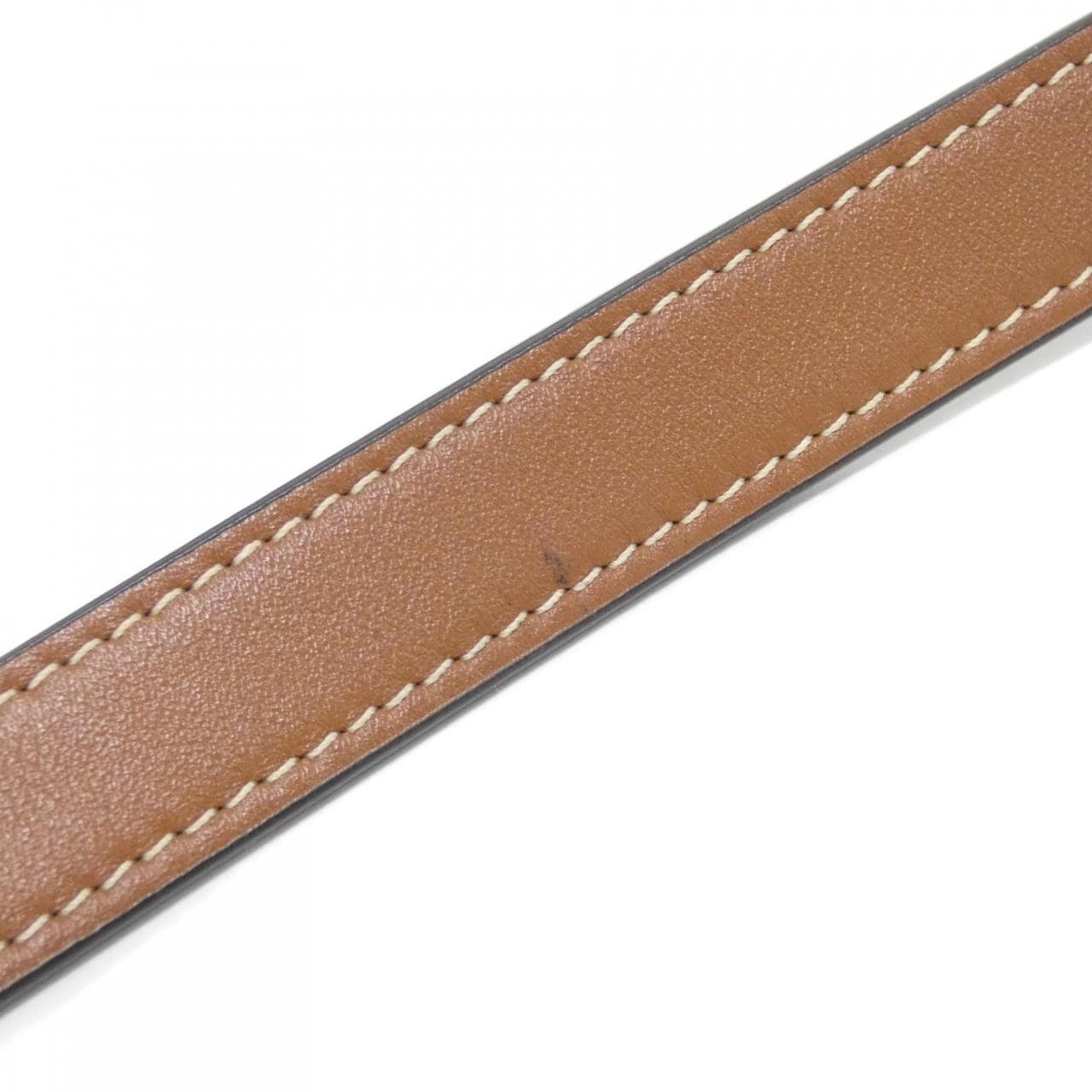 セリーヌ トリオンフ 写真8