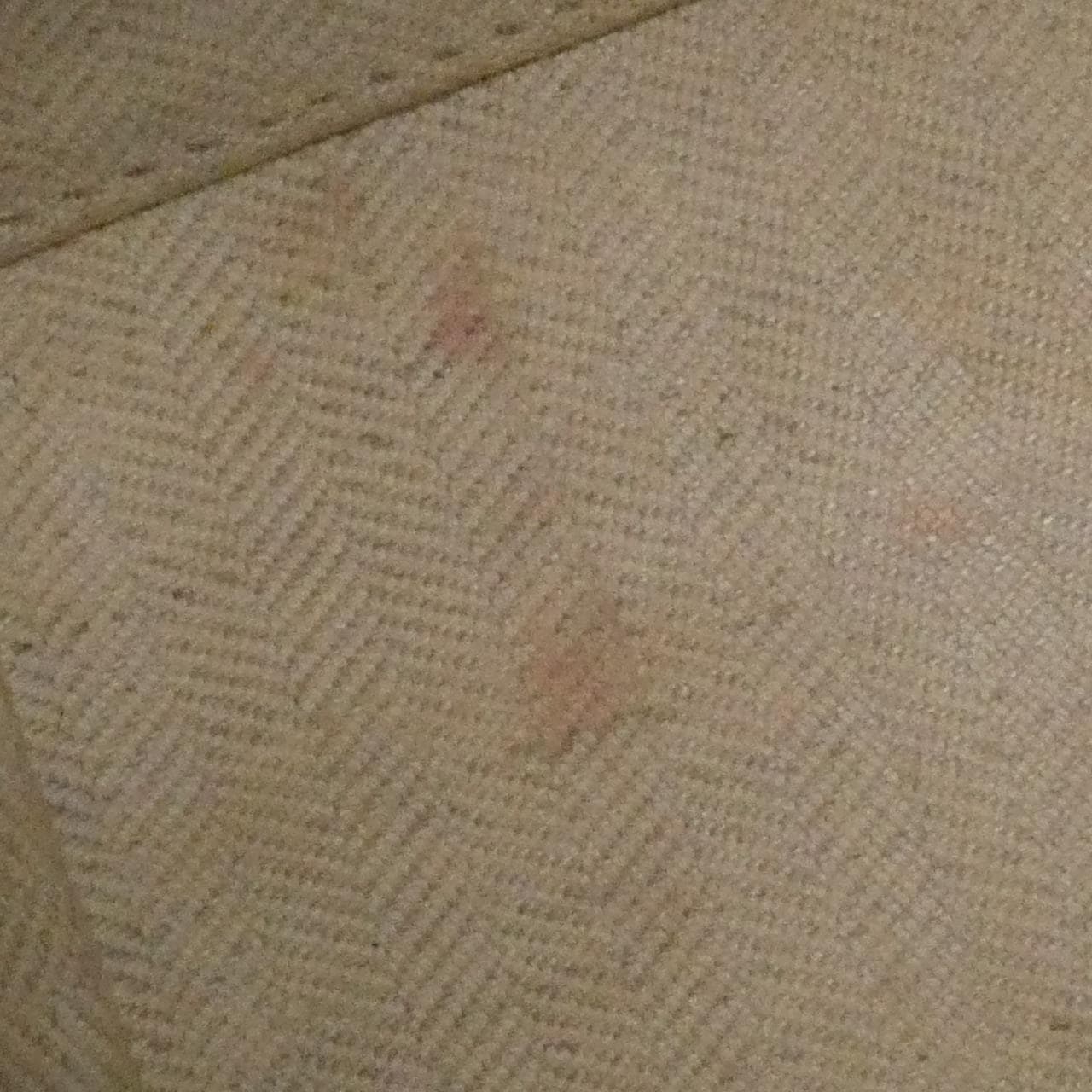 ロエベ ハンモック 写真10