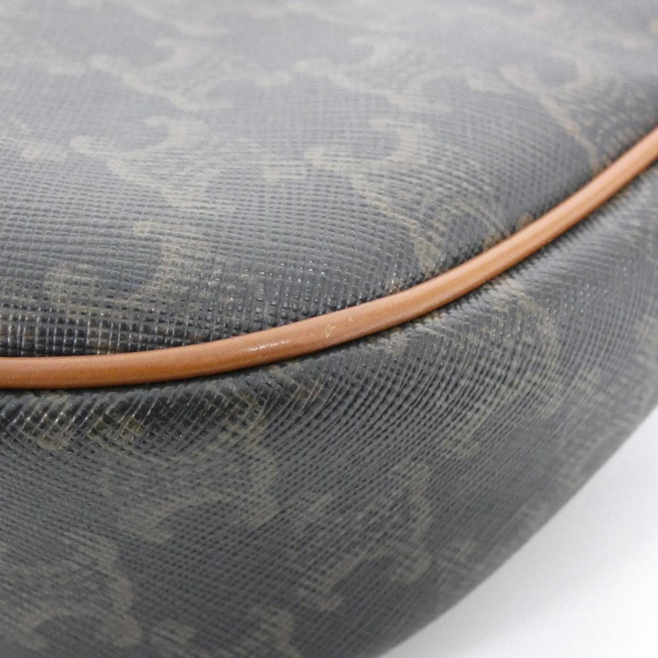 セリーヌ トリオンフ 写真2