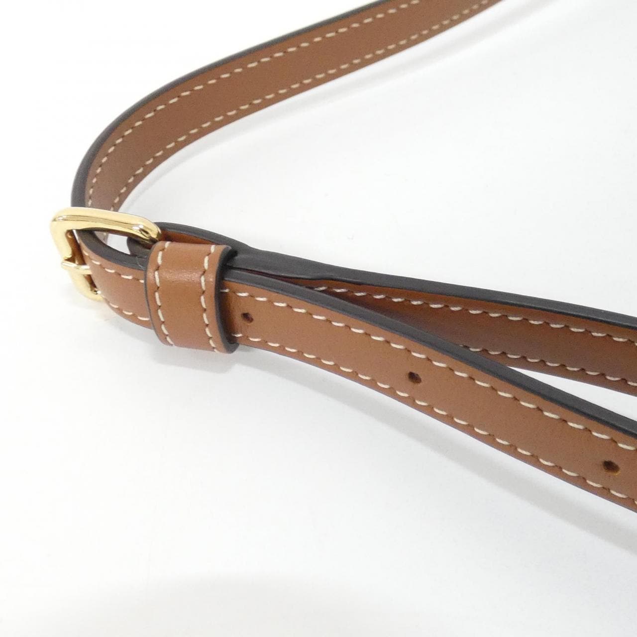 セリーヌ トリオンフ 写真5