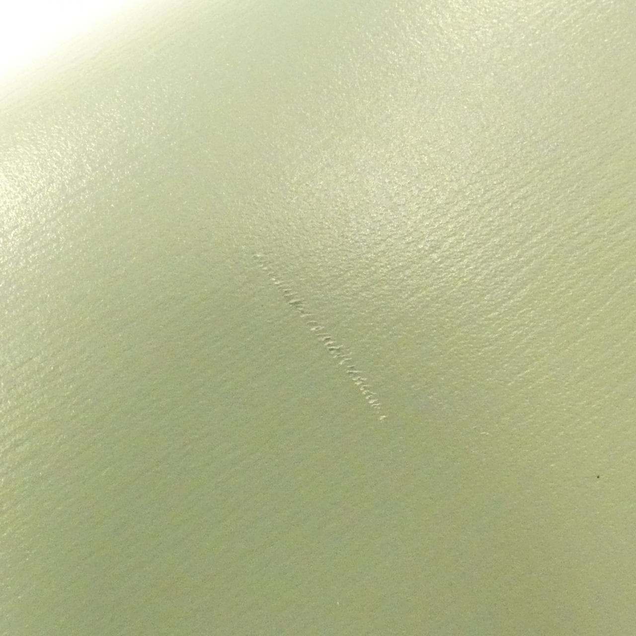 セリーヌ トリオンフ 写真5