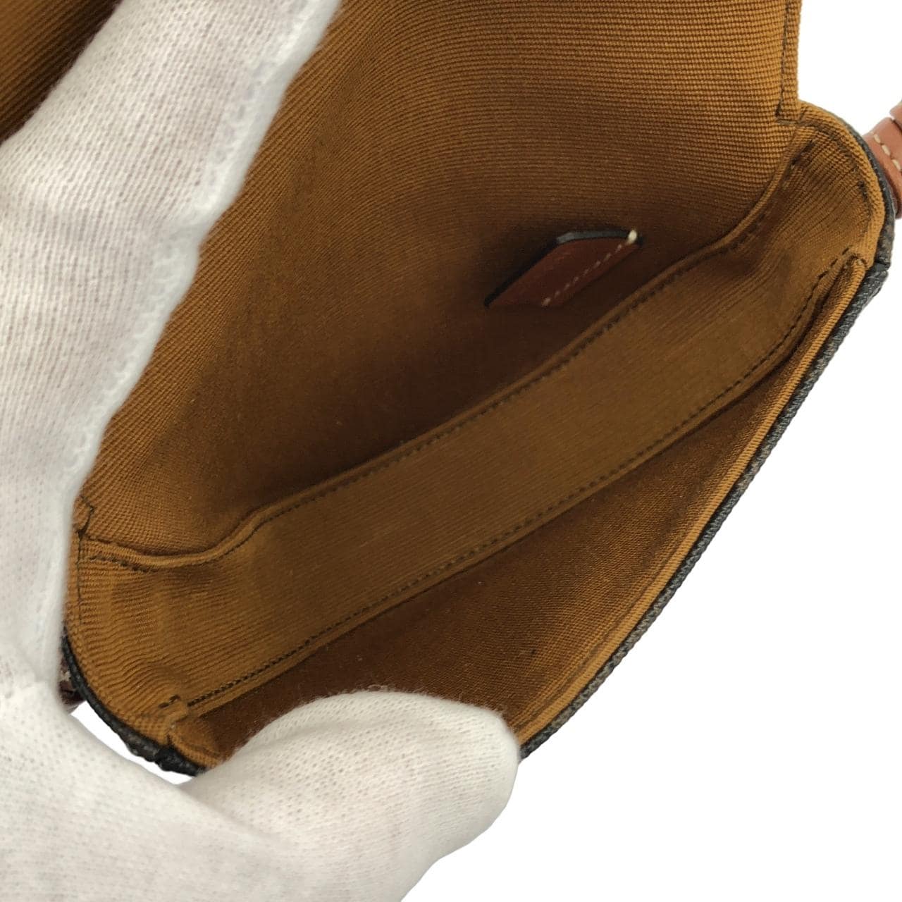 セリーヌ トリオンフ 写真7