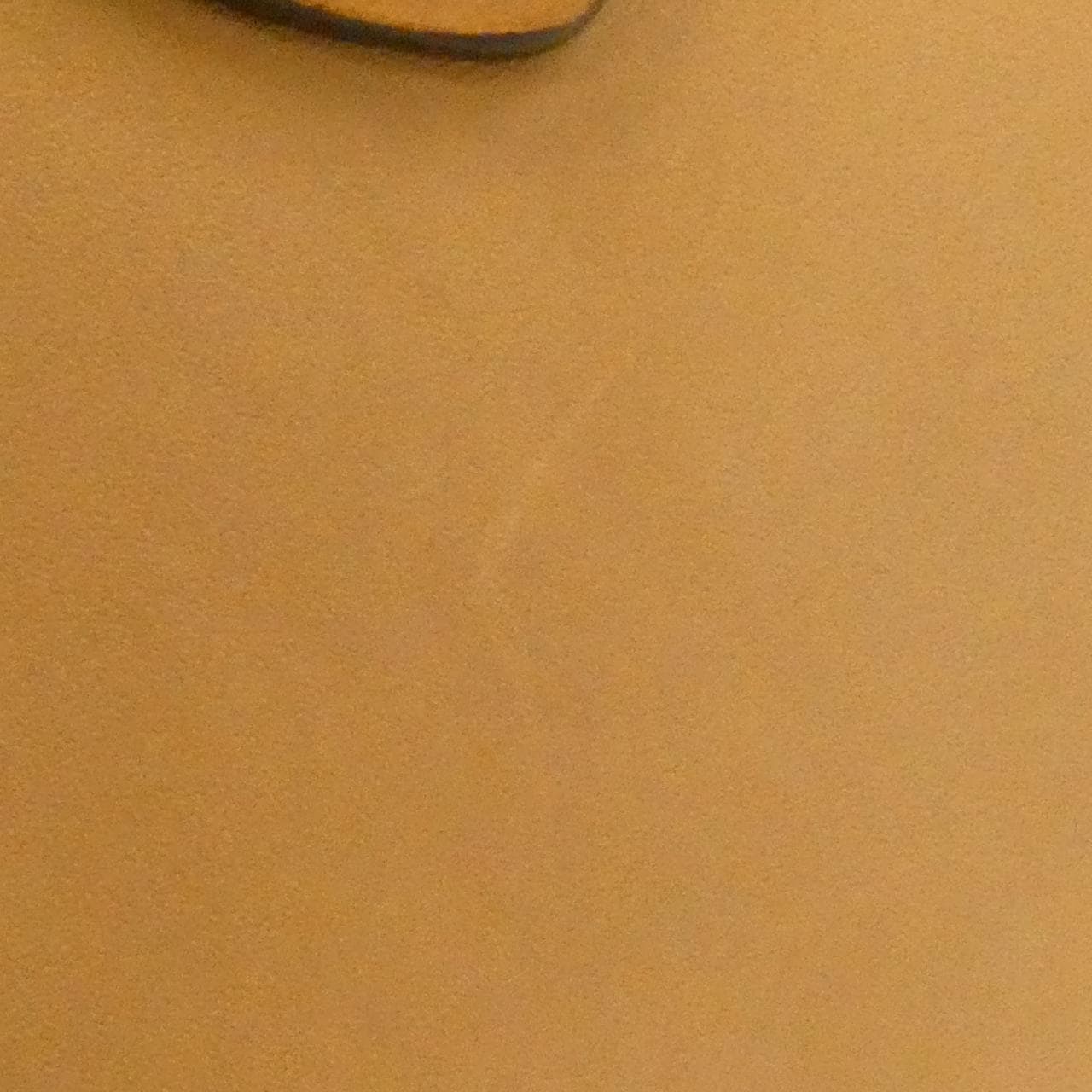 セリーヌ ラゲージ ナノ 写真5