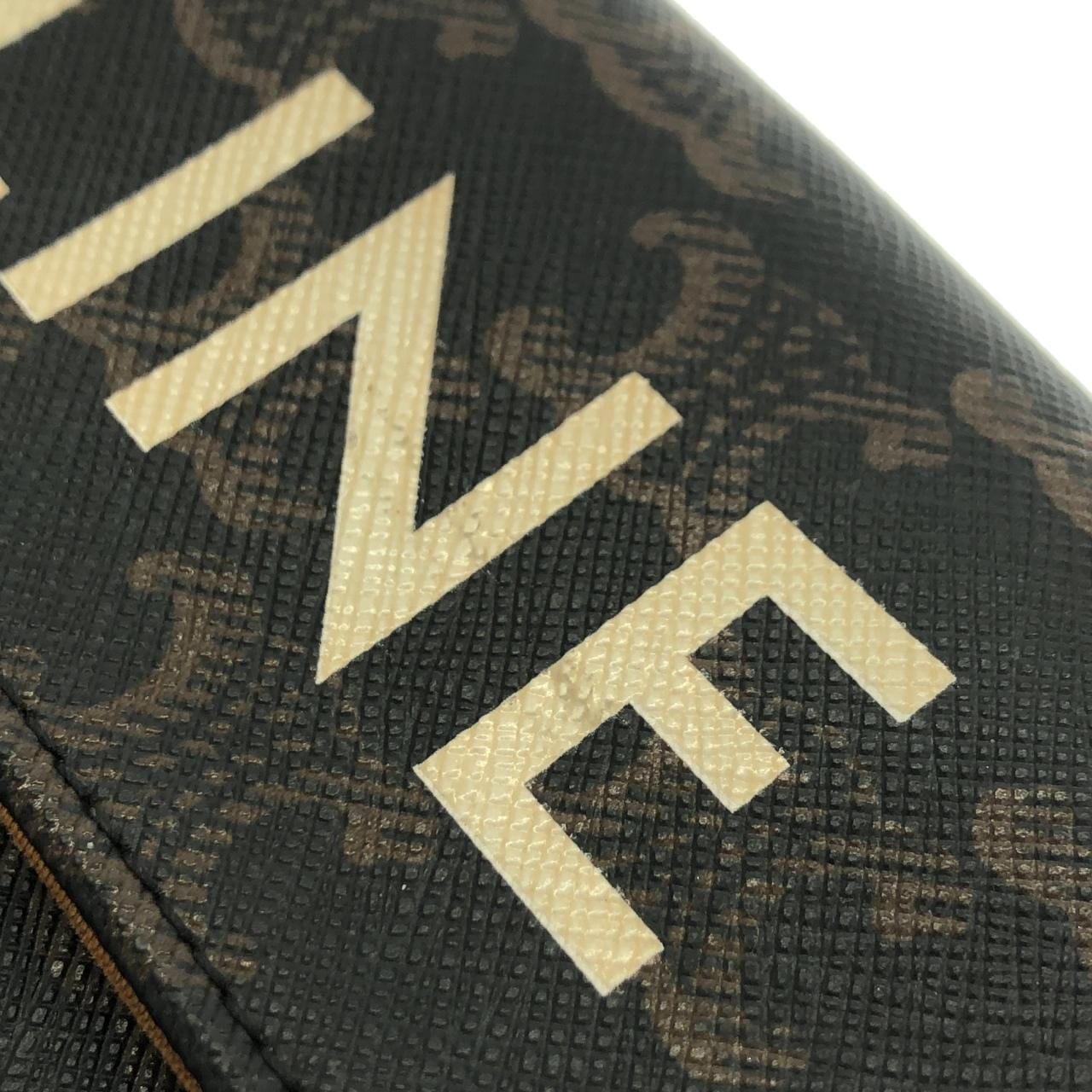 セリーヌ トリオンフ 写真4