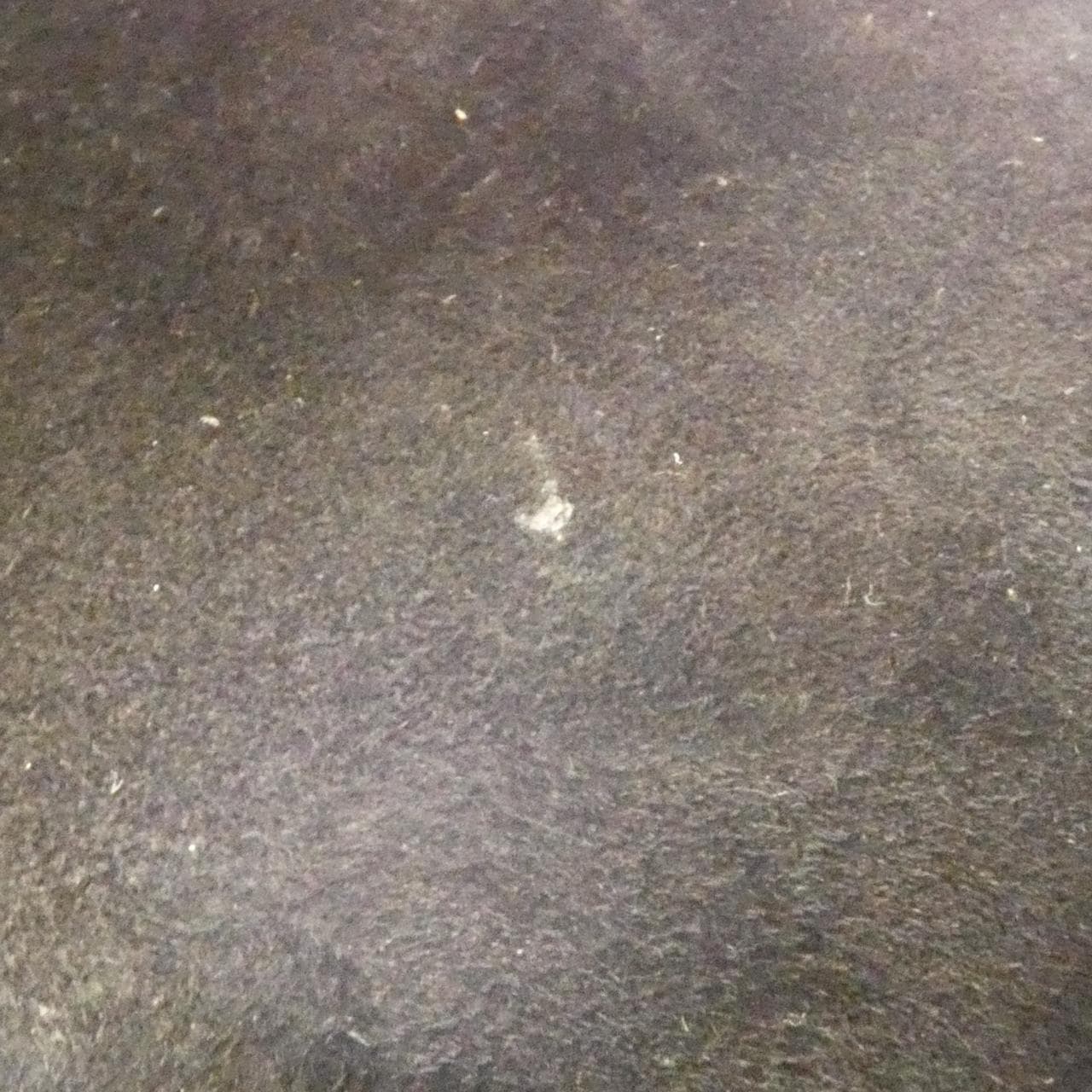 ディオール レディディオール 写真9