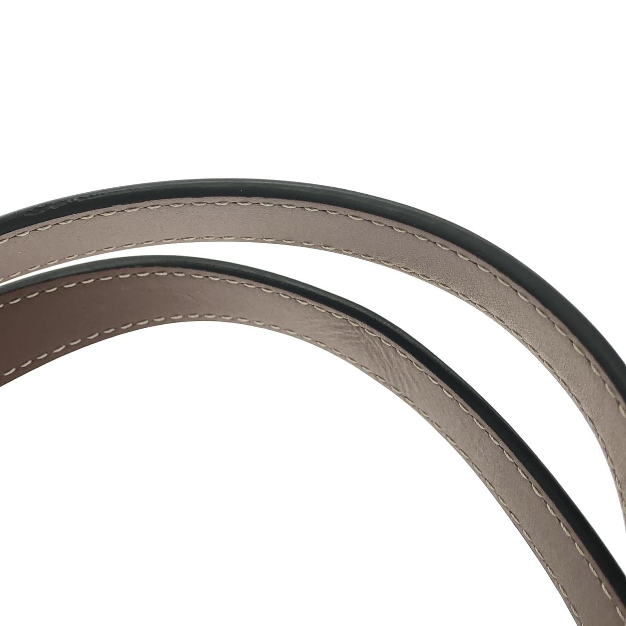 セリーヌ トリオンフ 写真5