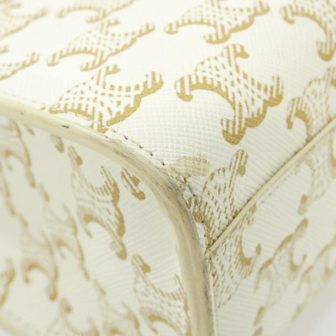 セリーヌ トリオンフ 写真3