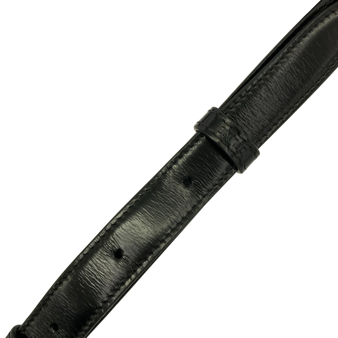 セリーヌ トリオンフ 写真6